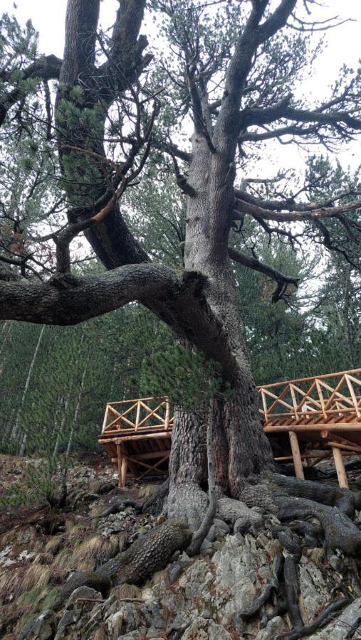 Free Spa В Св. Иван Рилски - Сладък Дом Сред Лукс Bansko Buitenkant foto