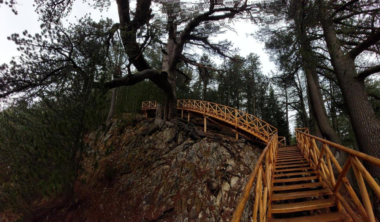 Free Spa В Св. Иван Рилски - Сладък Дом Сред Лукс Bansko Buitenkant foto
